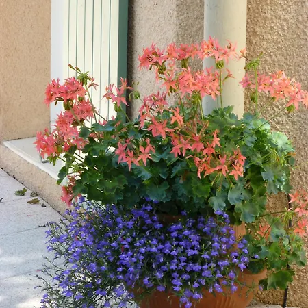 Le Relais Des Malettes D'hotes Bed & Breakfast