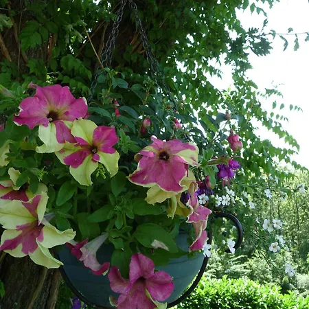Le Relais Des Malettes D'hotes Bed & Breakfast