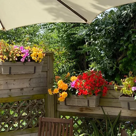 Le Relais Des Malettes D'hotes Bed & Breakfast Francheville (Rhone)