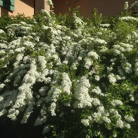 Le Relais Des Malettes D'hotes Francheville (Rhone)