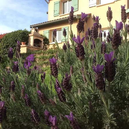 Bed & Breakfast Le Relais Des Malettes D'hotes Francheville (Rhone)