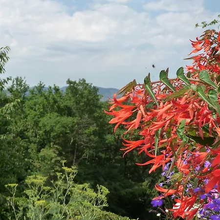 Le Relais Des Malettes D'hotes Bed & Breakfast Francheville (Rhone)