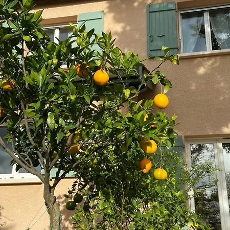 Bed & Breakfast Le Relais Des Malettes D'hotes